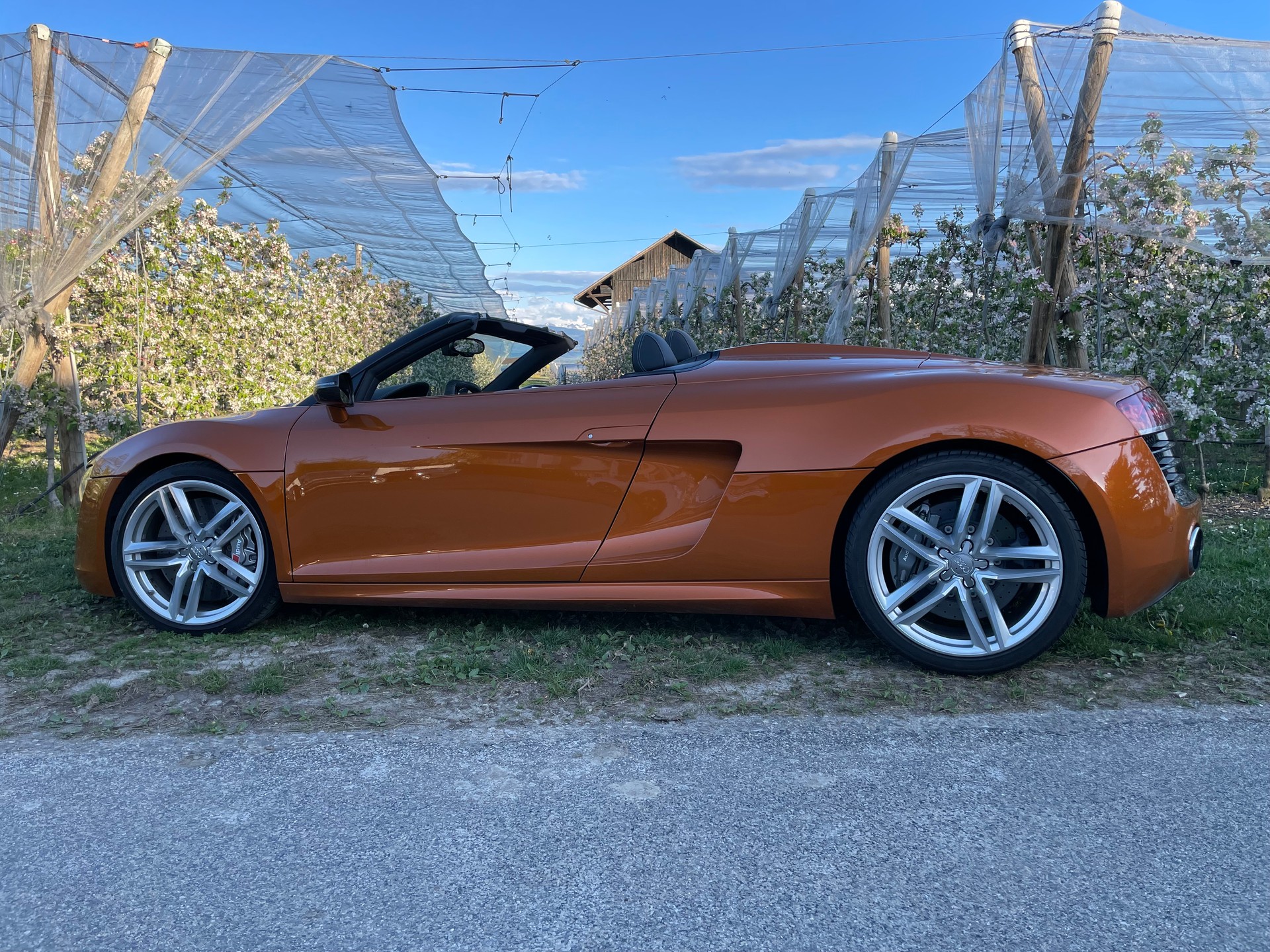 AUDI R8 Spyder 5.2 S-Tronic-image-0