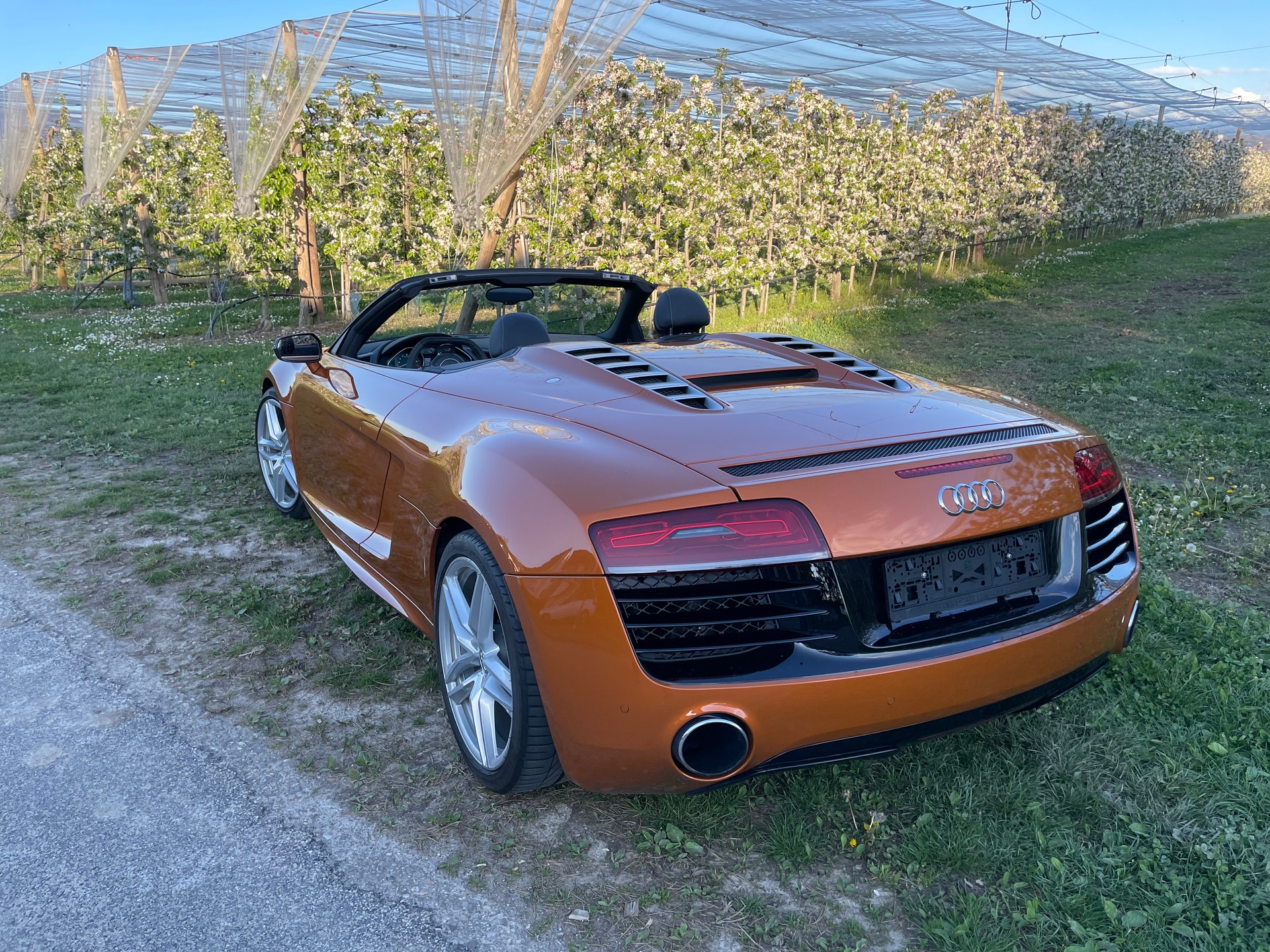 AUDI R8 Spyder 5.2 S-Tronic-image-2