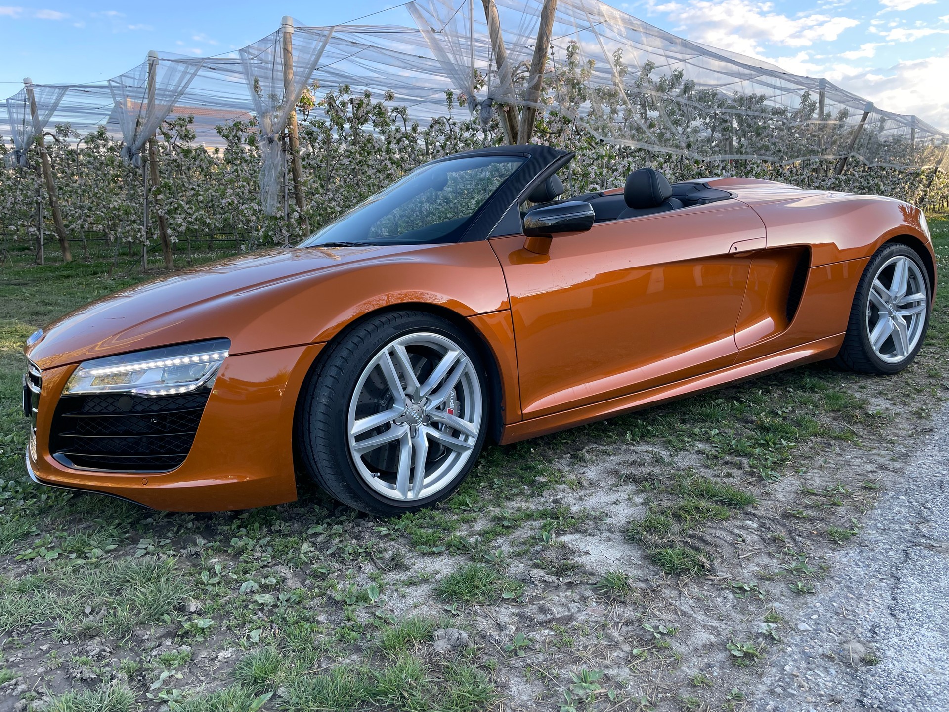 AUDI R8 Spyder 5.2 S-Tronic-image-5