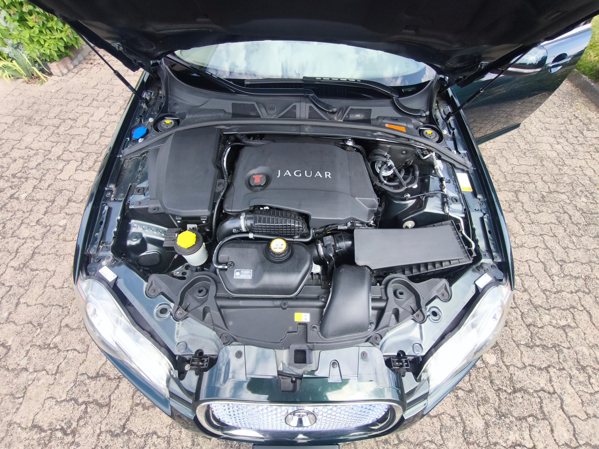 JAGUAR XF 3.0d S V6 (Biturbo)-image-7