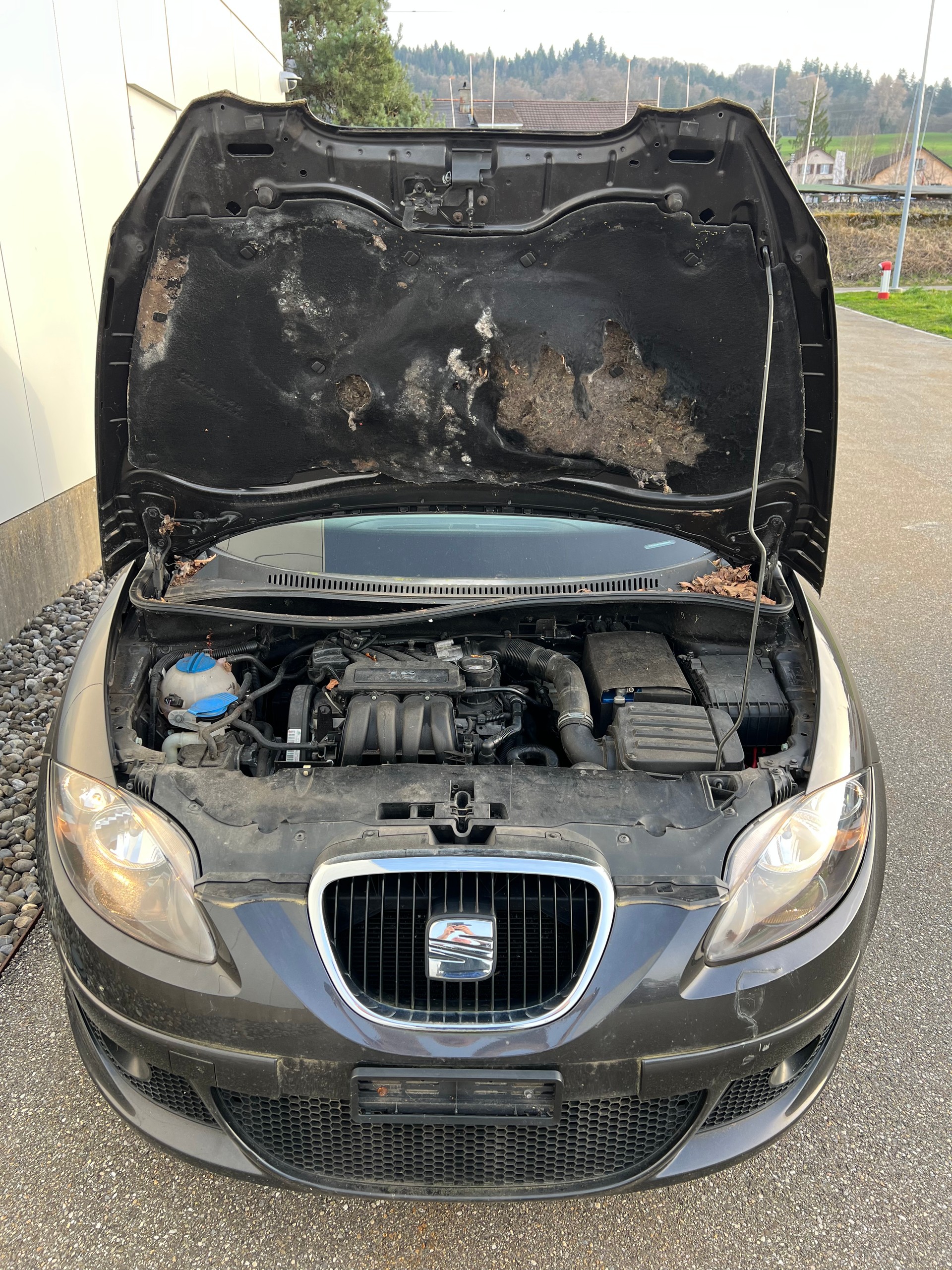 SEAT Altea 1.6 Rebel-image-4