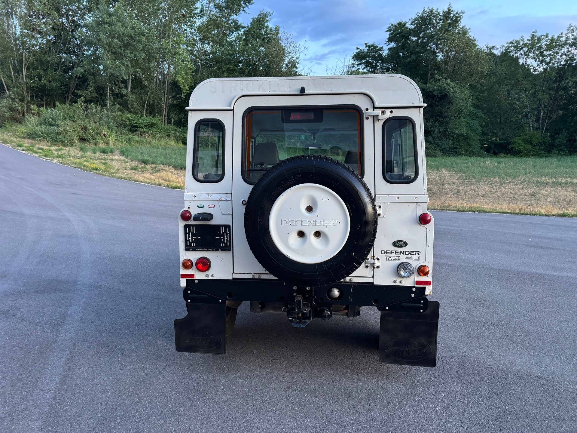 LAND ROVER Defender 90 SW 2.5 Td5-image-3