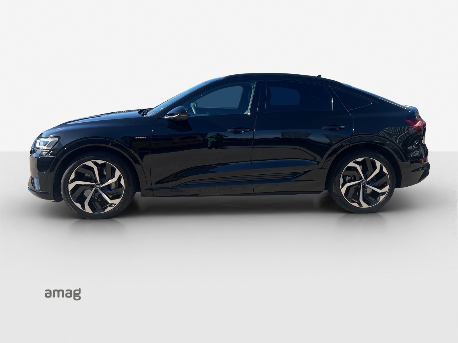AUDI e-tron 50 Sportback Advanced quattro-showroom-element-2