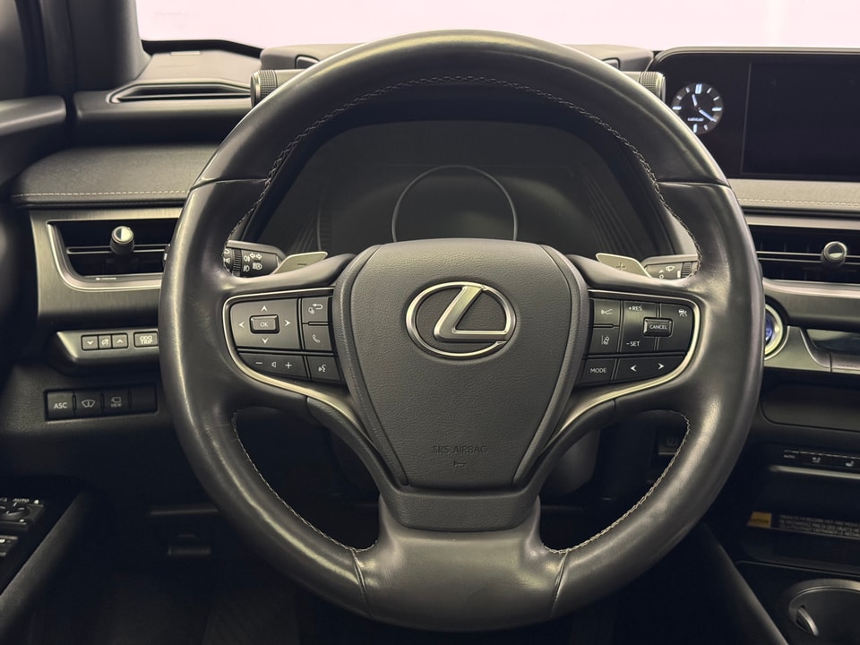 UX 300e Excellence Electric