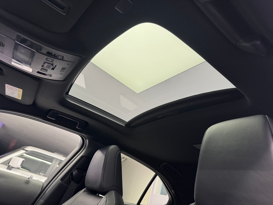 UX 300e Excellence Electric