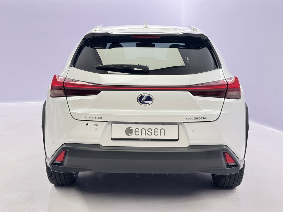UX 300e Excellence Electric