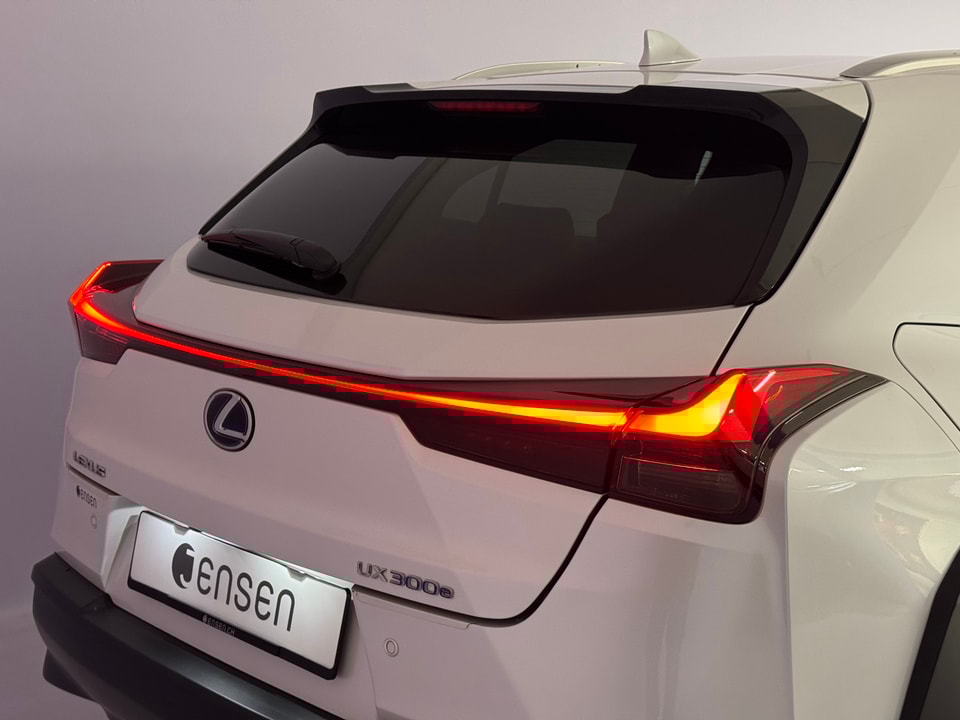 UX 300e Excellence Electric