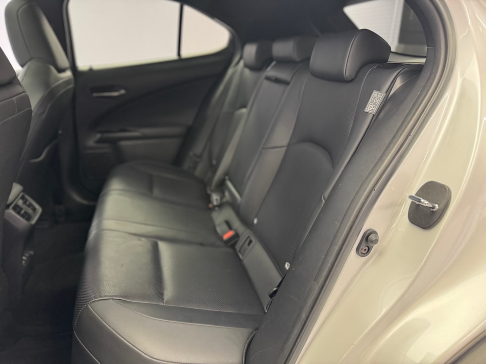 UX 300e Excellence Electric