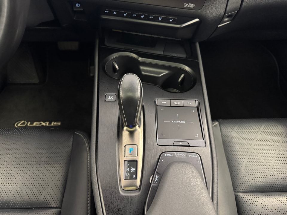 UX 300e Excellence Electric