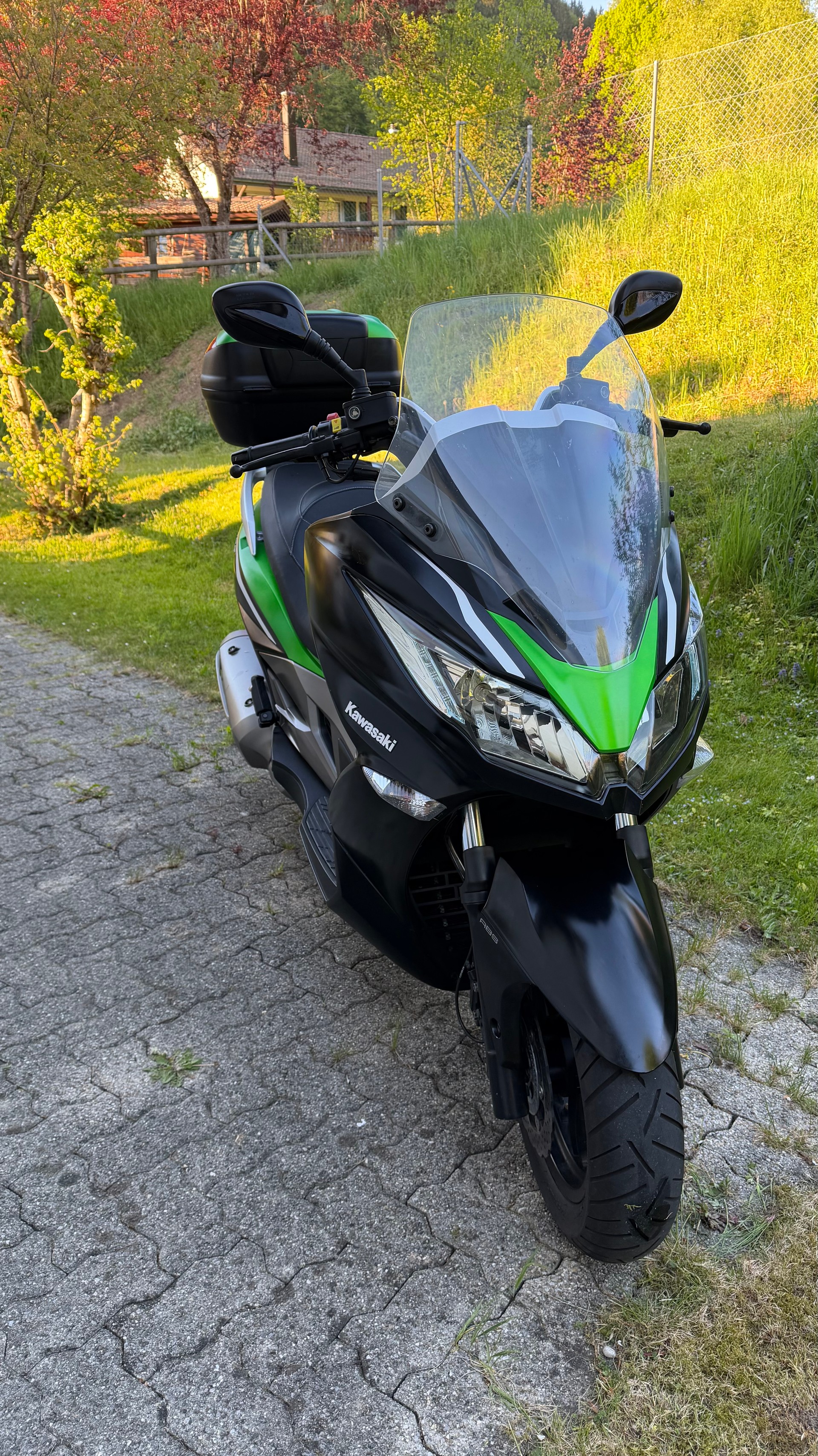 KAWASAKI J 300 SE ABS-image-1