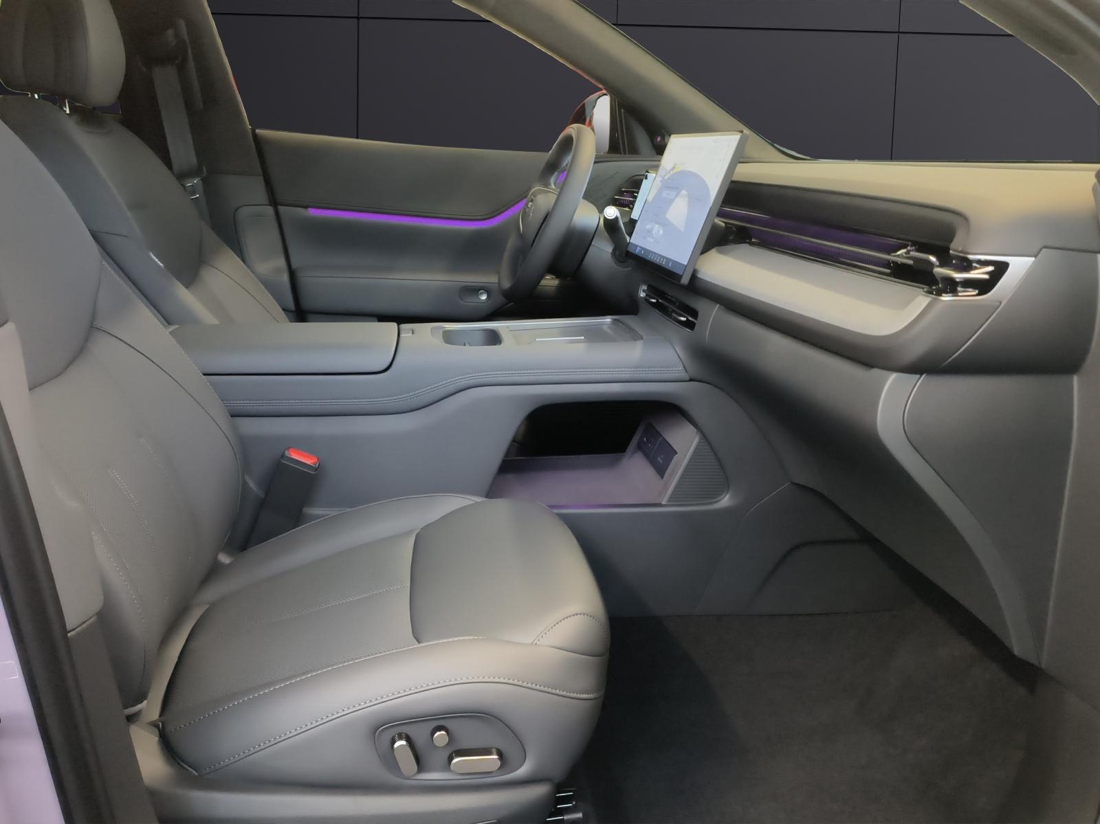 XPENG G6 Performance AWD-image-14