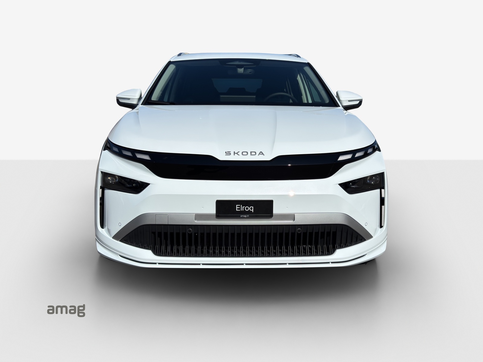 SKODA Enyaq Dynamic 85x 4x4-image-6