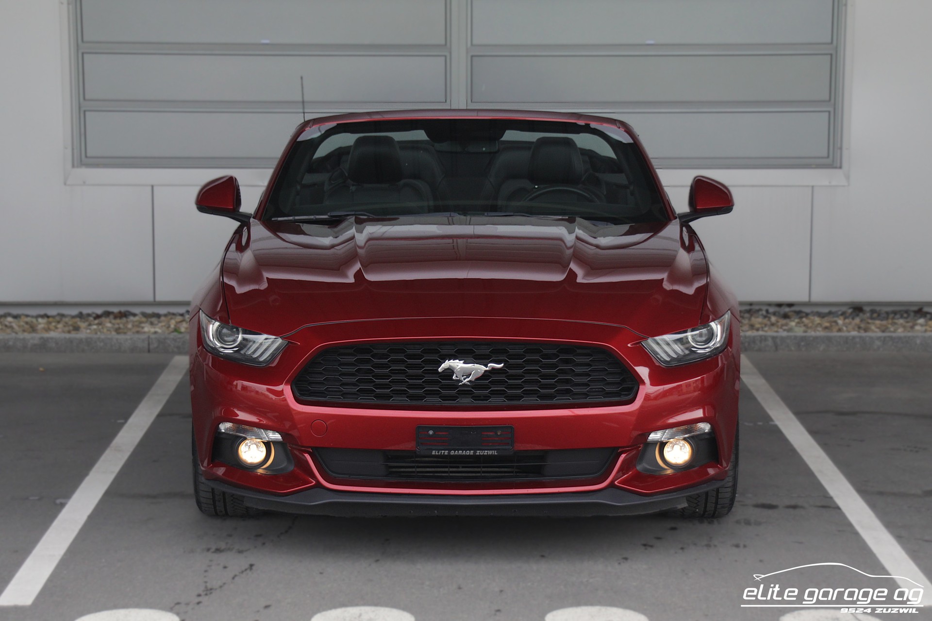 FORD Mustang Convertible 2.3-image-7