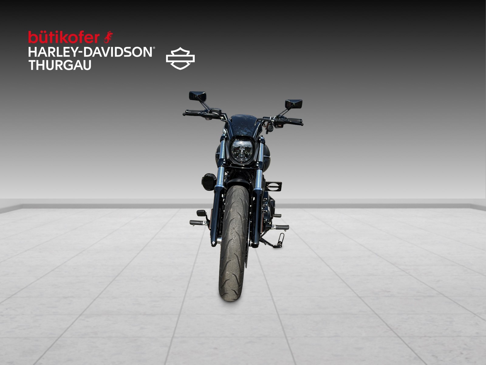 HARLEY-DAVIDSON FXBR Breakout 117-image-6