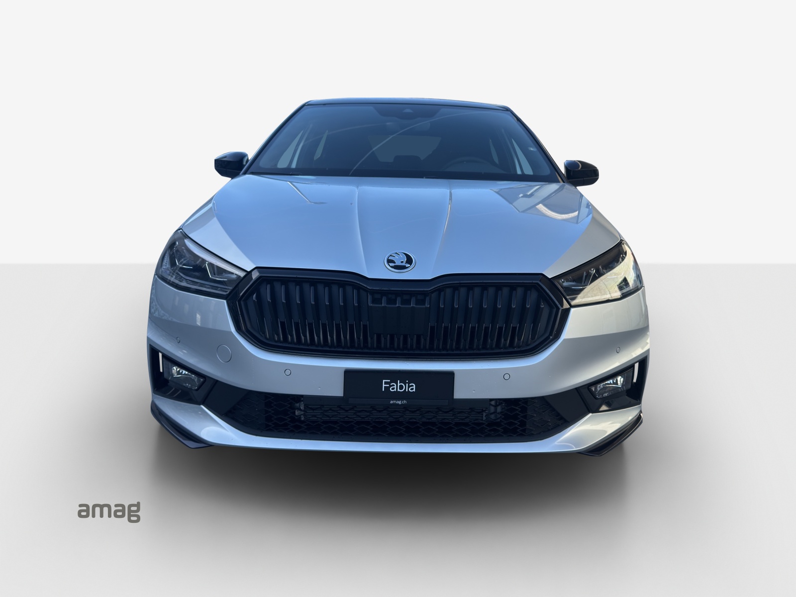 SKODA Fabia 1.0 TSI Monte Carlo DSG-image-6