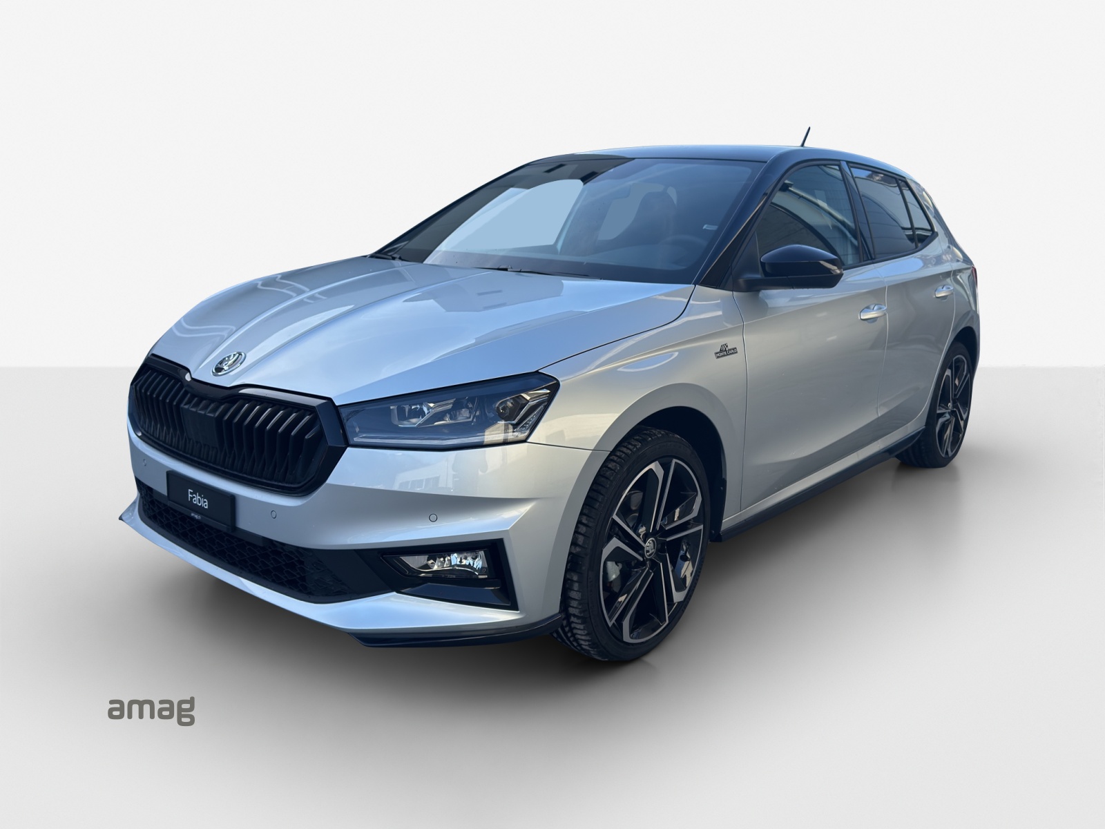 SKODA Fabia 1.0 TSI Monte Carlo DSG-image-0