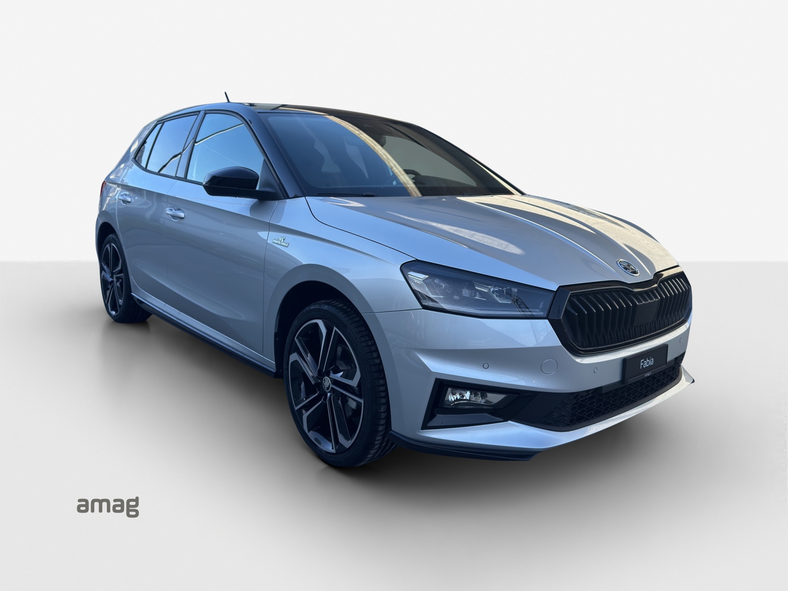 SKODA Fabia 1.0 TSI Monte Carlo DSG-image-5