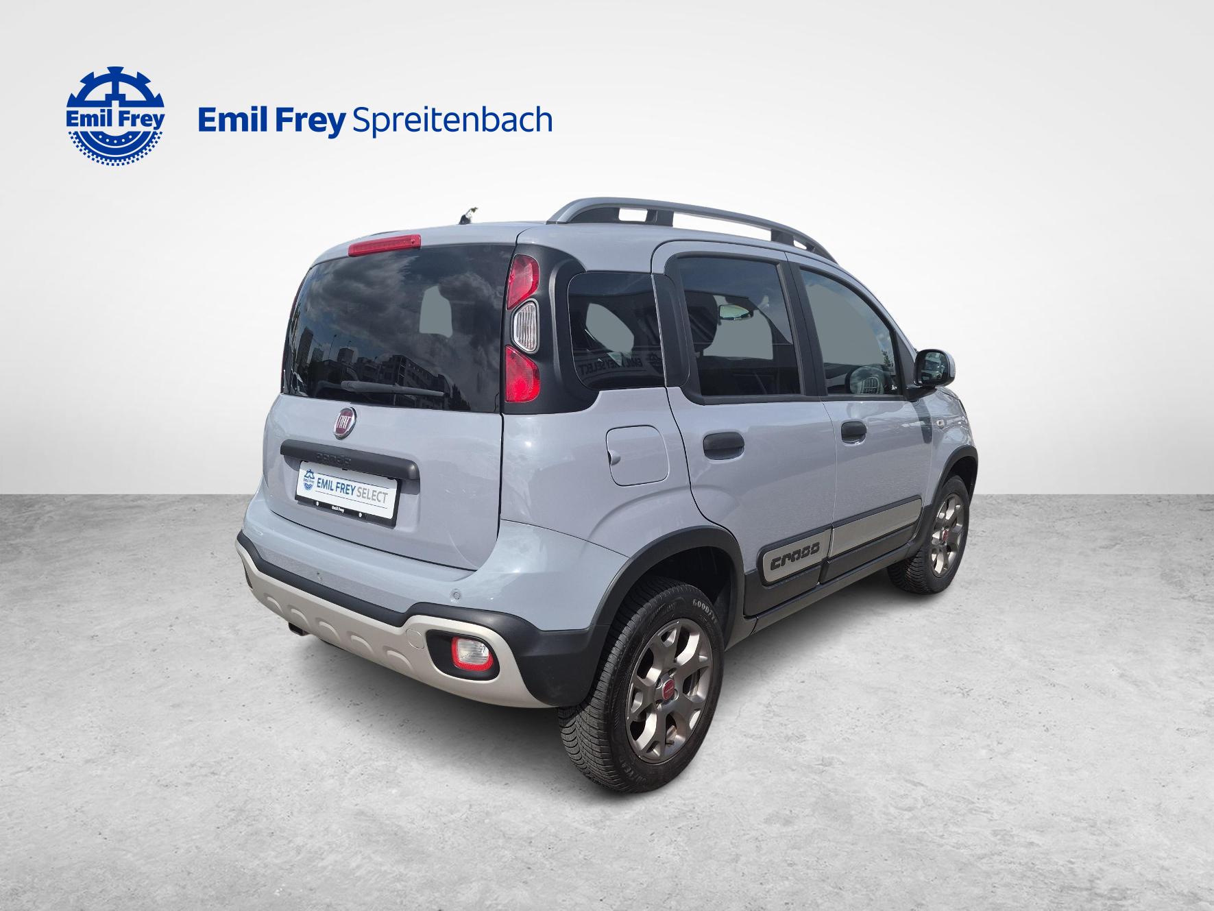 FIAT Panda 1.3 JTD Cross 4x4 S/S-image-4