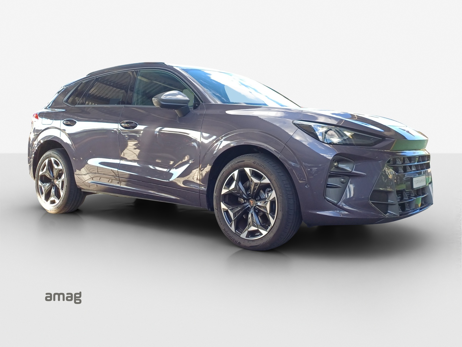 CUPRA CUPRA TERRAMAR 4DRIVE PRIME EDITION 204 PS 4Drive DSG-image-5