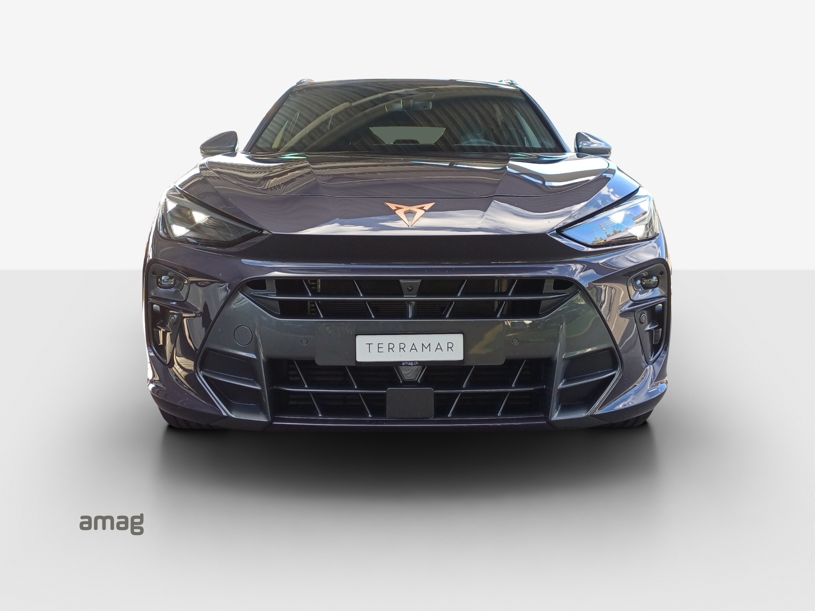 CUPRA CUPRA TERRAMAR 4DRIVE PRIME EDITION 204 PS 4Drive DSG-image-6