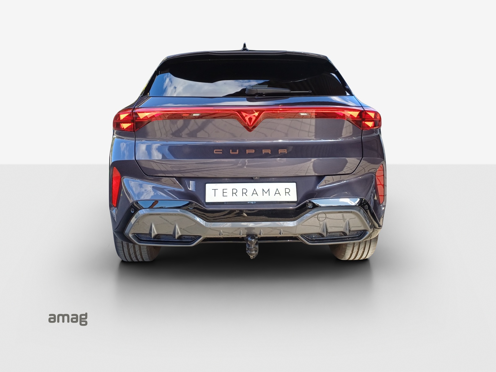 CUPRA CUPRA TERRAMAR 4DRIVE PRIME EDITION 204 PS 4Drive DSG-image-3