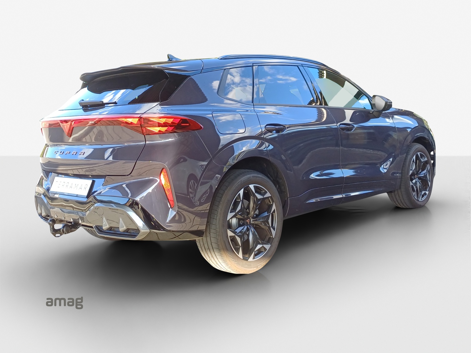 CUPRA CUPRA TERRAMAR 4DRIVE PRIME EDITION 204 PS 4Drive DSG-image-4