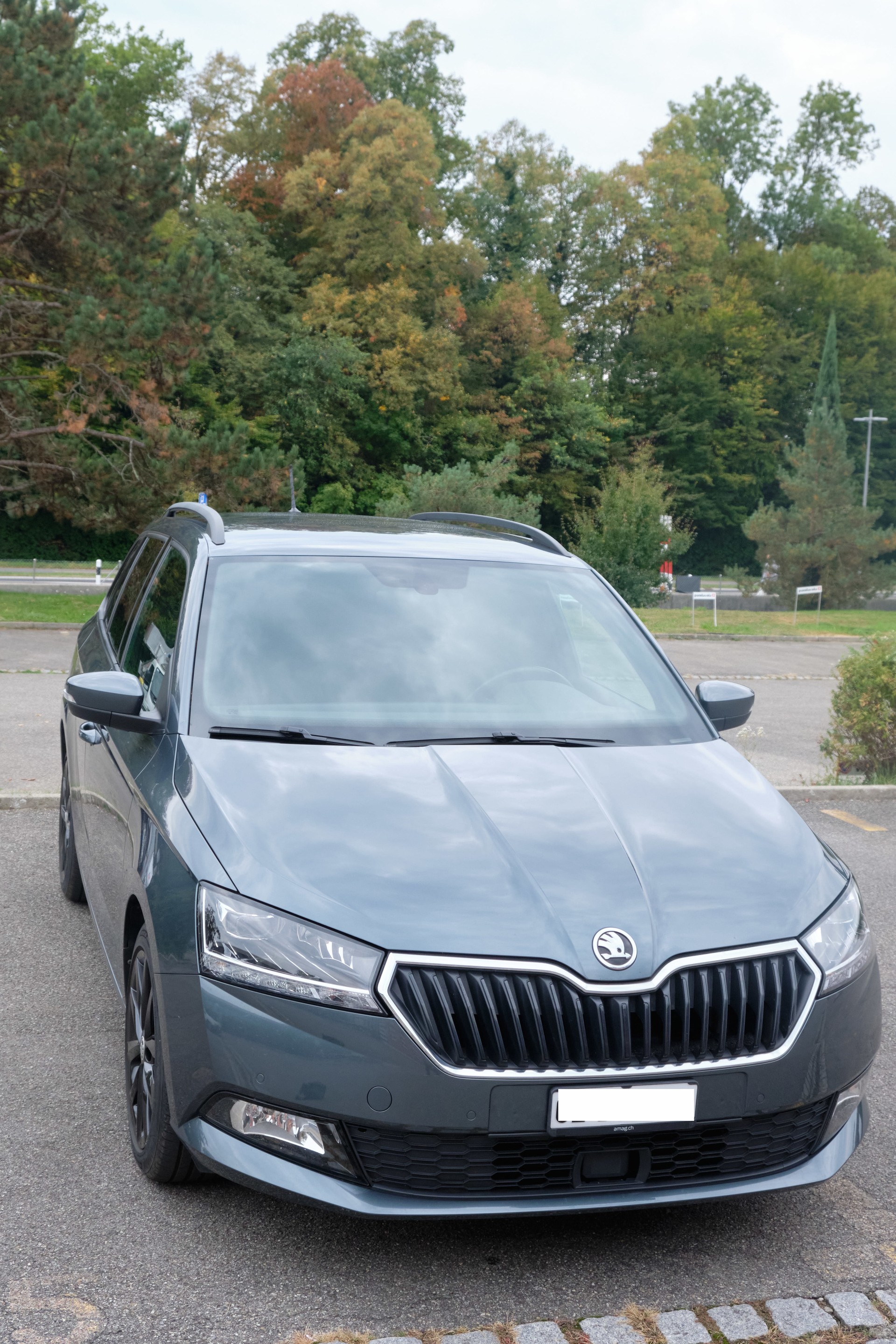SKODA 1.0 TSI Combi Style-image-0