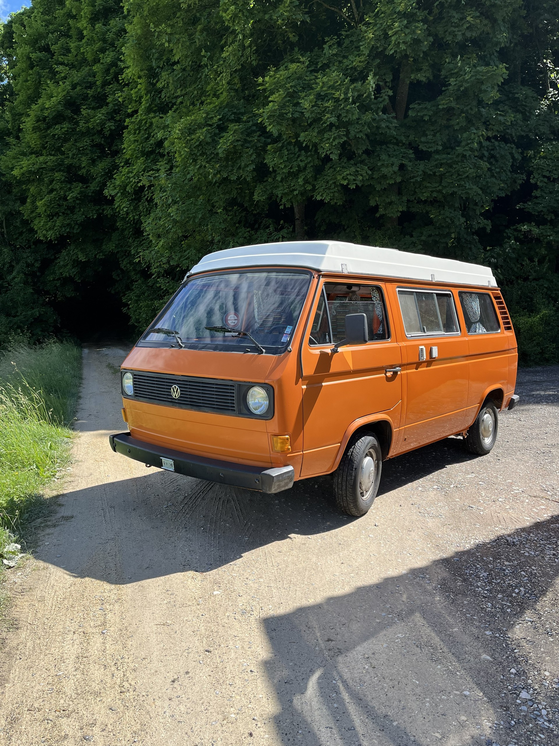 VW T3 Typ 2 Cassandra-image-4