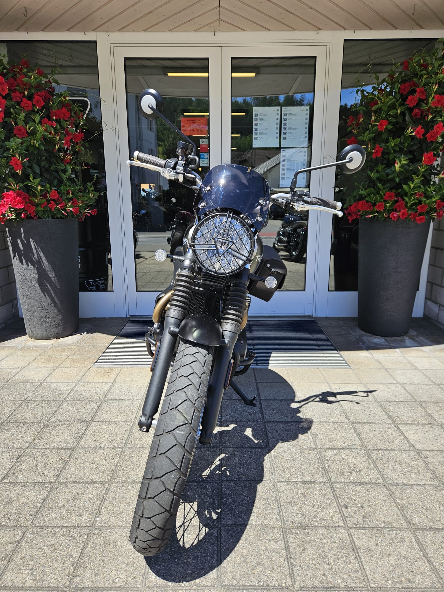 TRIUMPH Street Scrambler 900-image-5