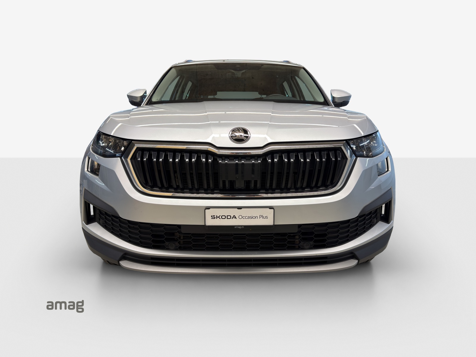 SKODA Kodiaq 2.0 TDI CR Ambition 4x4 DSG-image-6