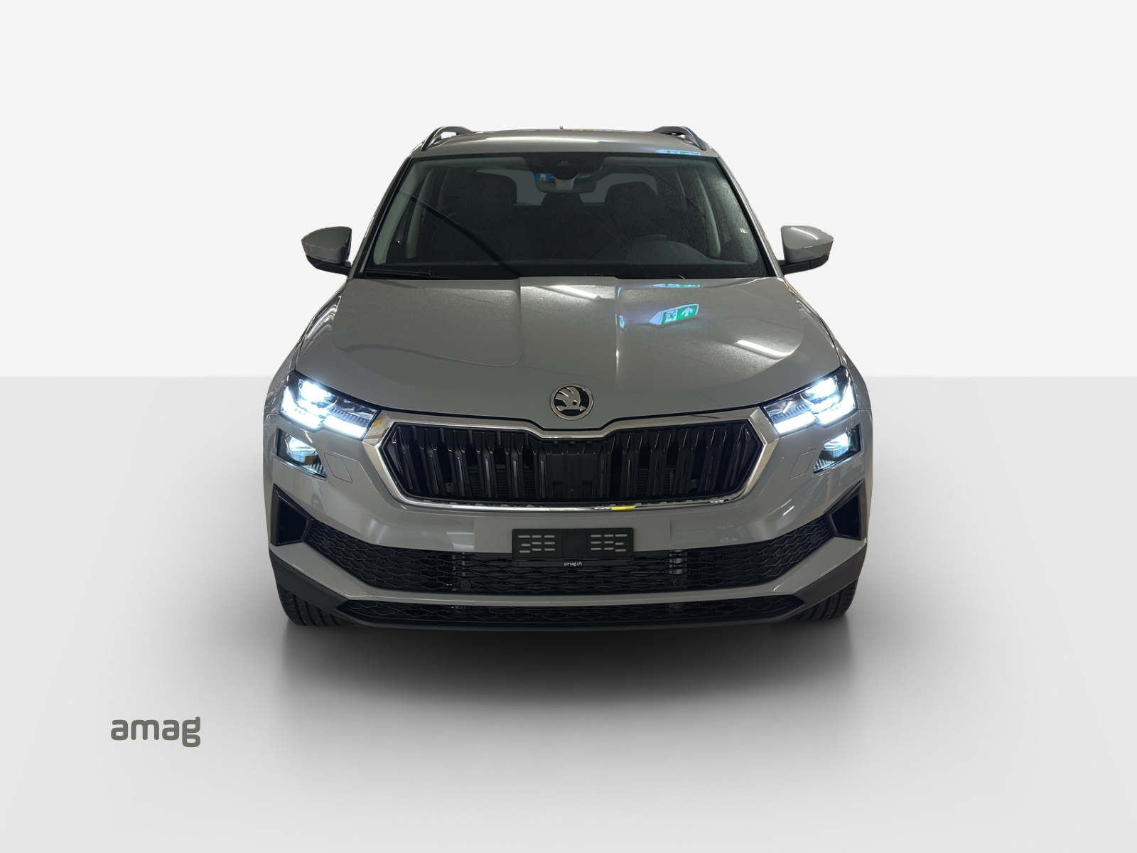 SKODA Karoq 2.0 TDI CR Dynamic 4x4 DSG-image-6