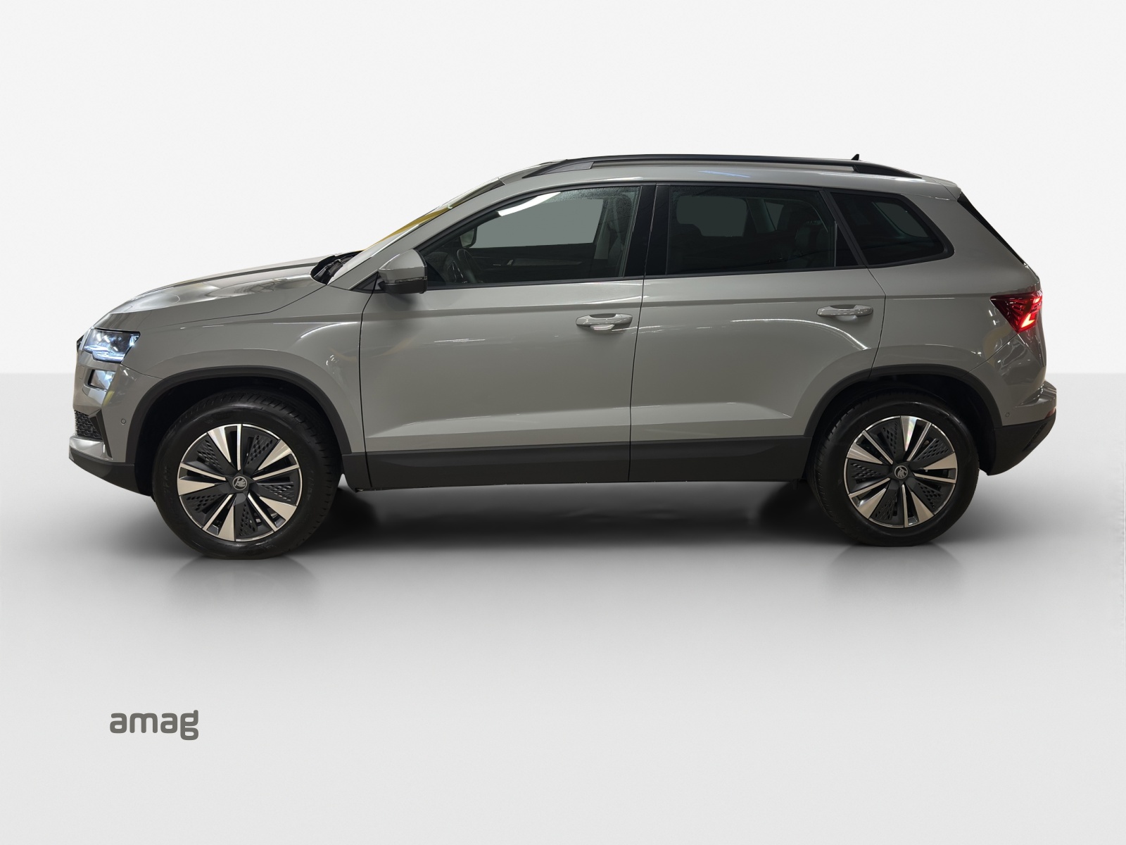 SKODA Karoq 2.0 TDI CR Dynamic 4x4 DSG-image-1