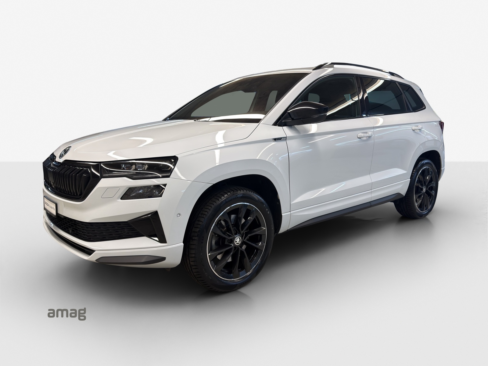 SKODA Karoq 2.0 TDI CR Sport Line 4x4 DSG-image-0