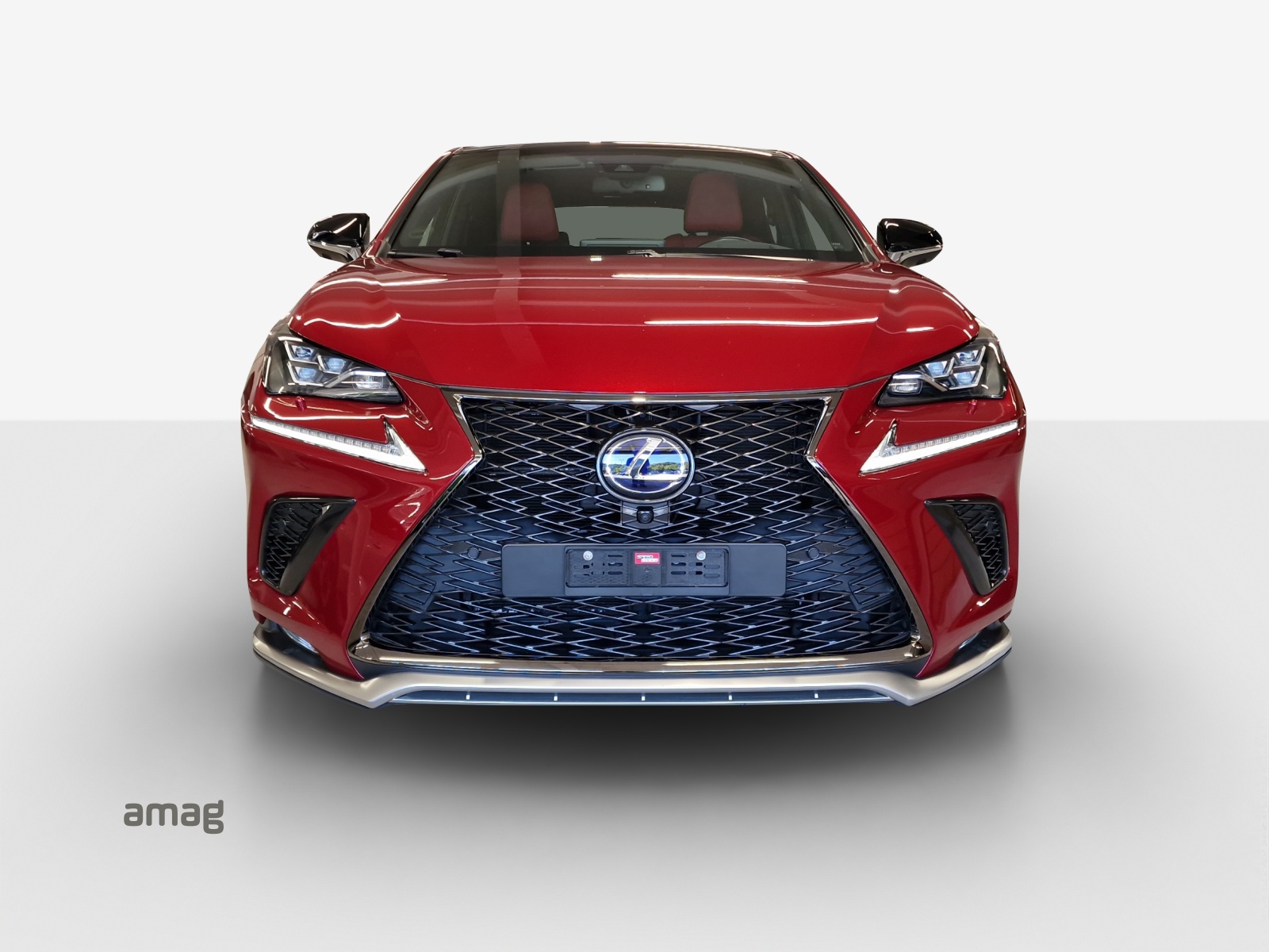LEXUS NX 300h F-Sport E-Four Automatic-image-6