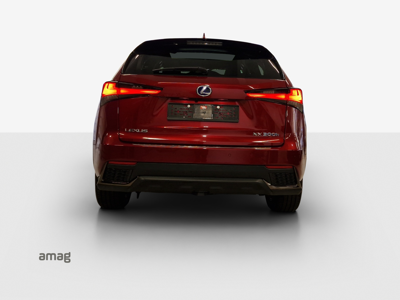 LEXUS NX 300h F-Sport E-Four Automatic-showroom-element-3