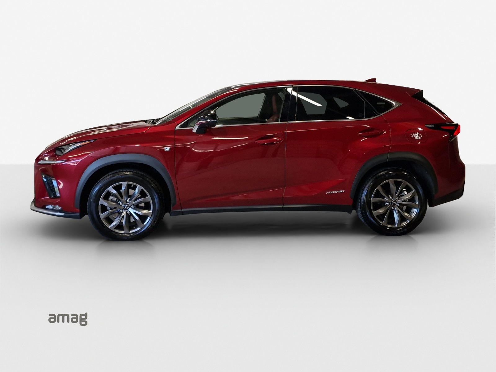 LEXUS NX 300h F-Sport E-Four Automatic-showroom-element-1