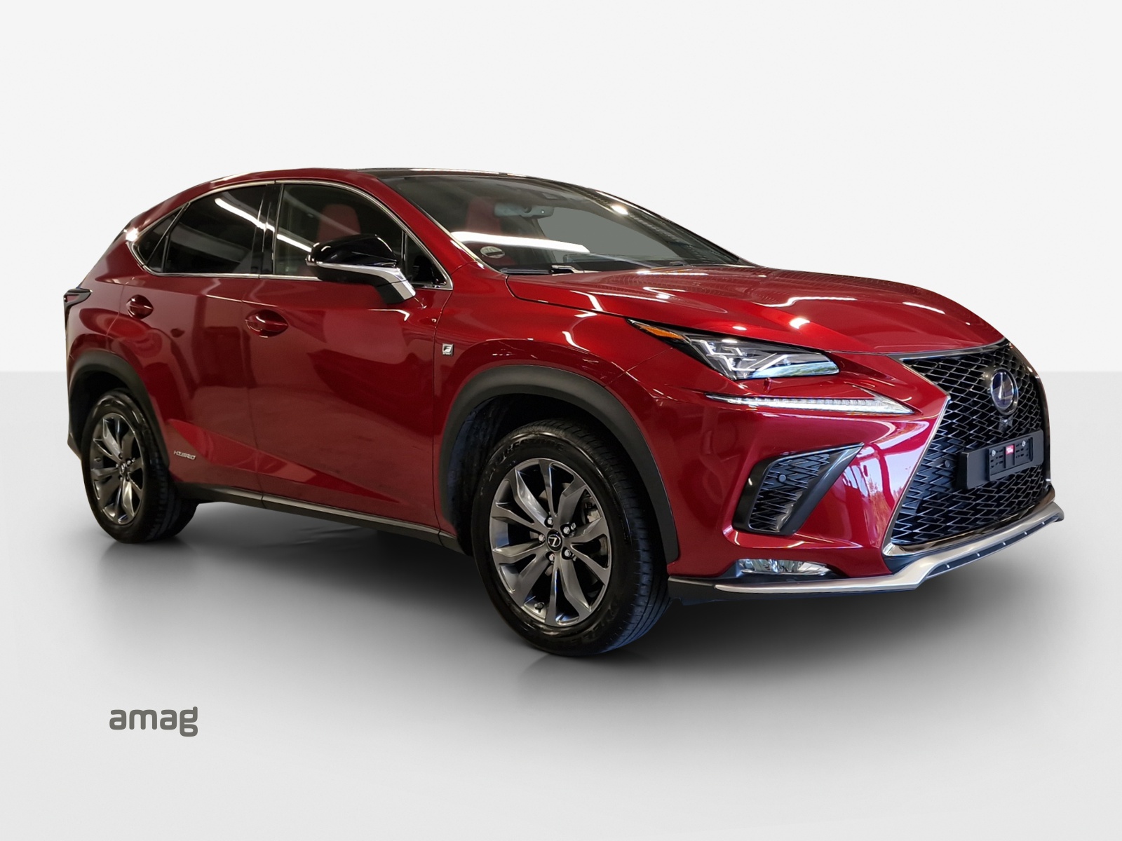 LEXUS NX 300h F-Sport E-Four Automatic-image-5