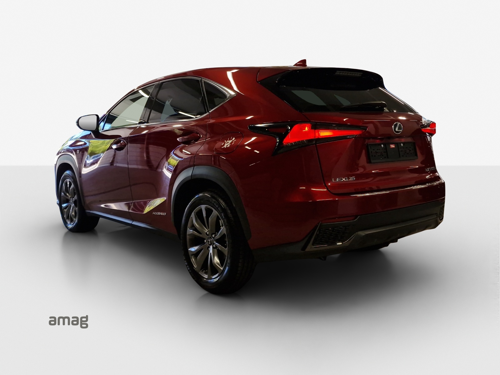 LEXUS NX 300h F-Sport E-Four Automatic-showroom-element-2