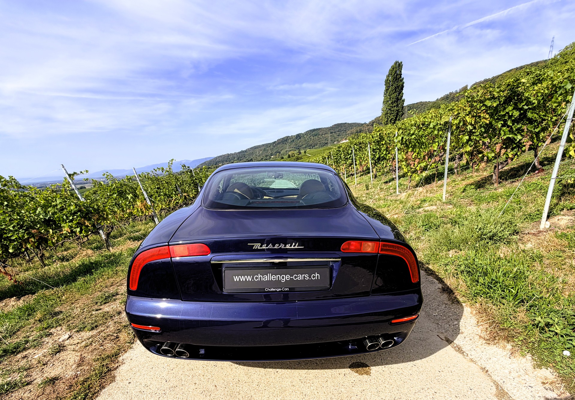 MASERATI 3200 GT-image-11
