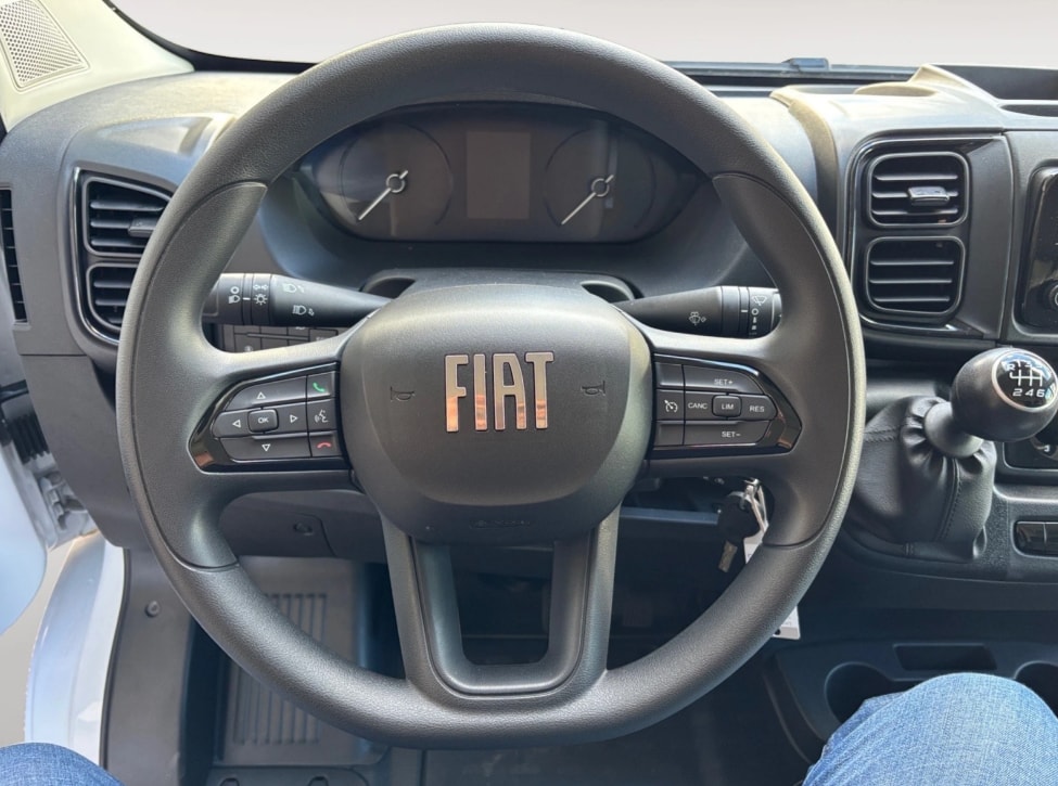 FIAT Ducato 35 L3H2 verglast-image-8