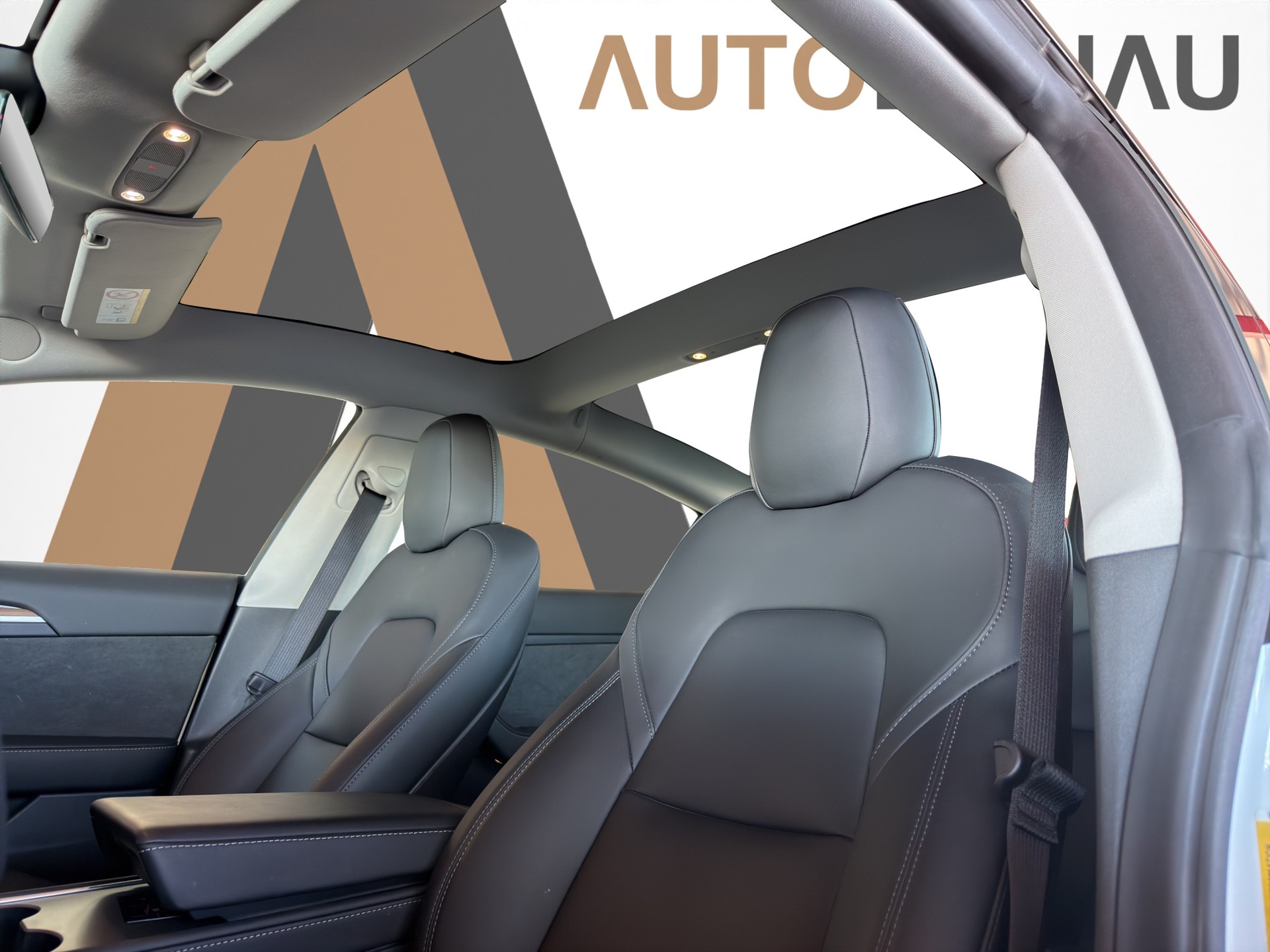 TESLA Model 3 Performance D-image-10