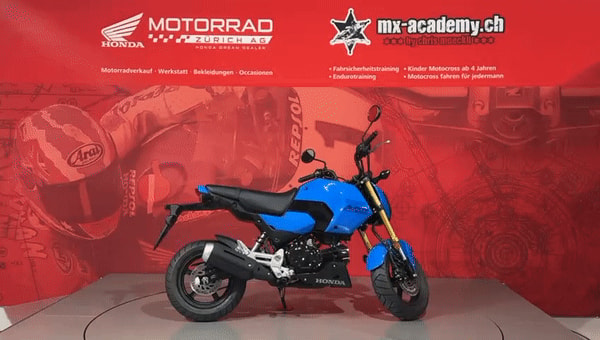 HONDA MSX 125 2026 Modell *Neufahrzeug*