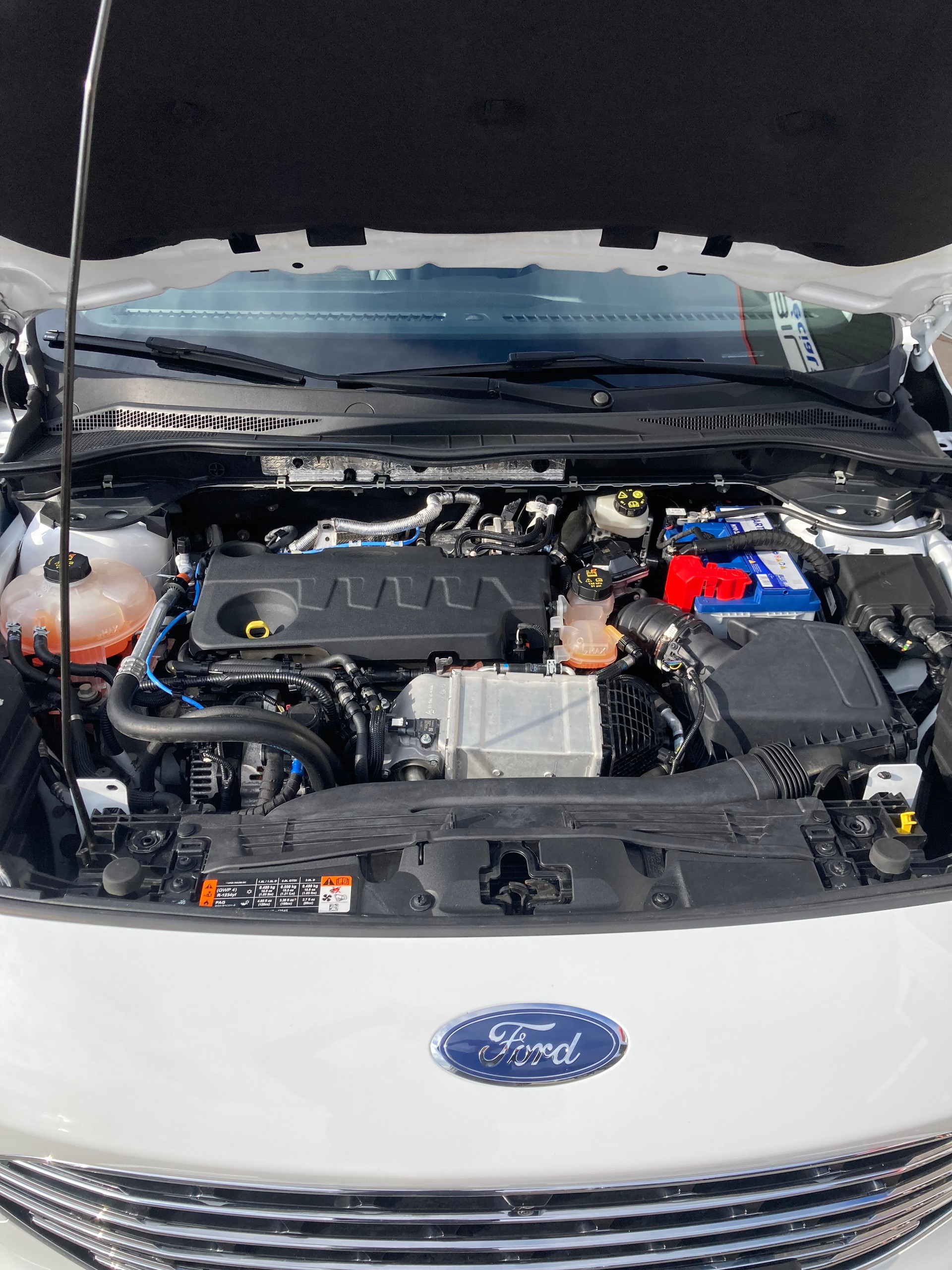 FORD Kuga 2.0 EcoBlue Hybrid Titanium X 2WD-image-12