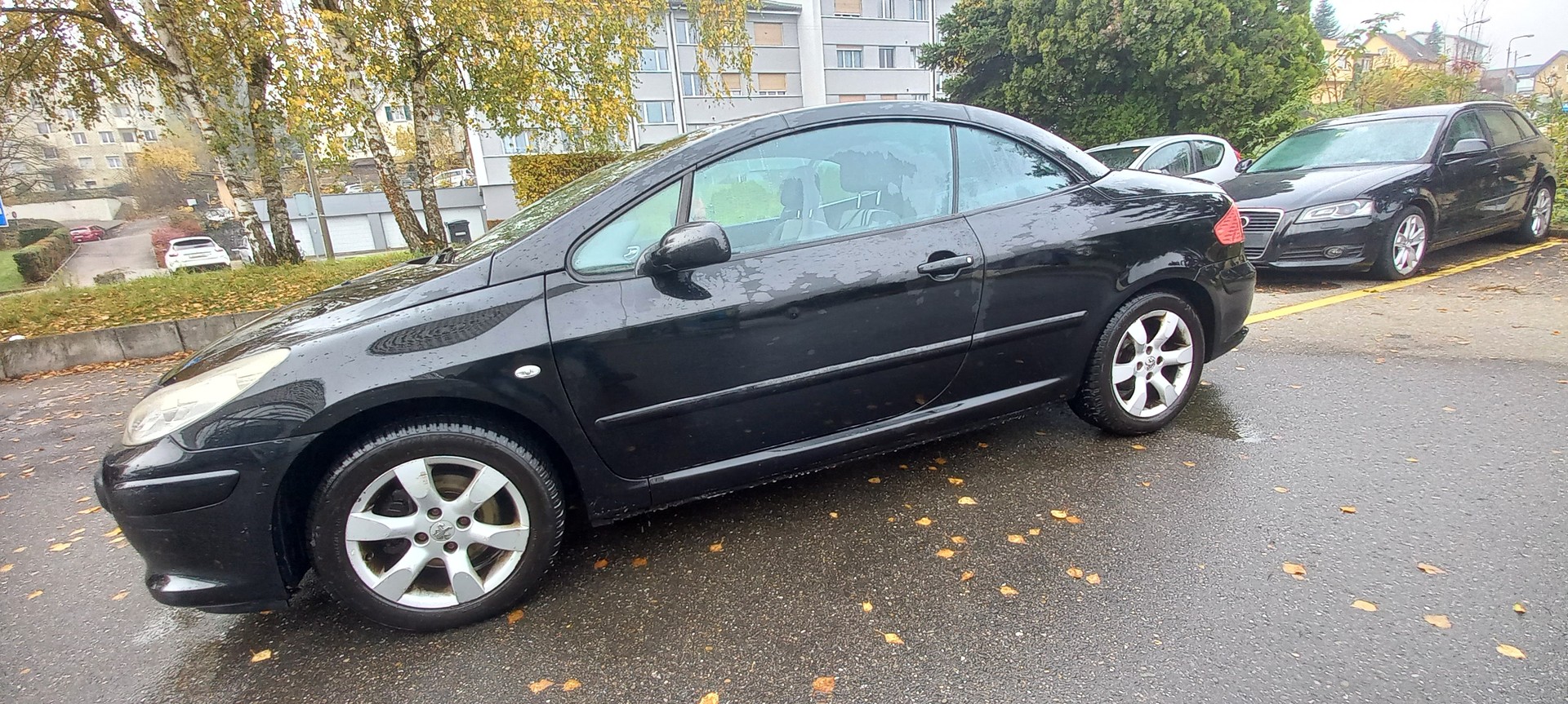 PEUGEOT 307 CC 2.0 16V Dynamic-image-4