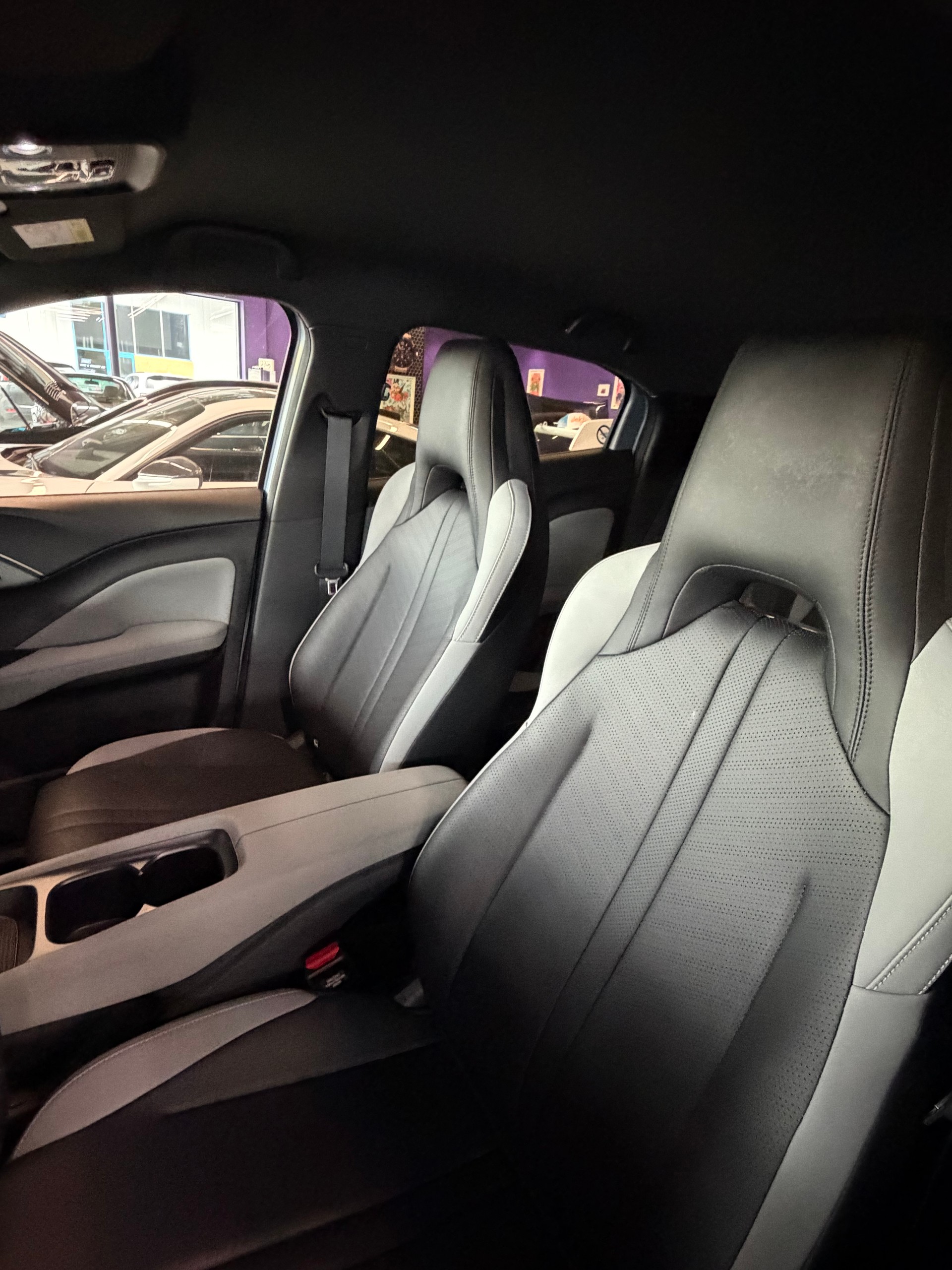 BYD DOLPHIN SURF-image-10