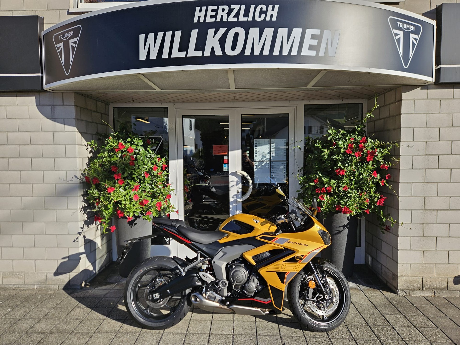 TRIUMPH Daytona 660
