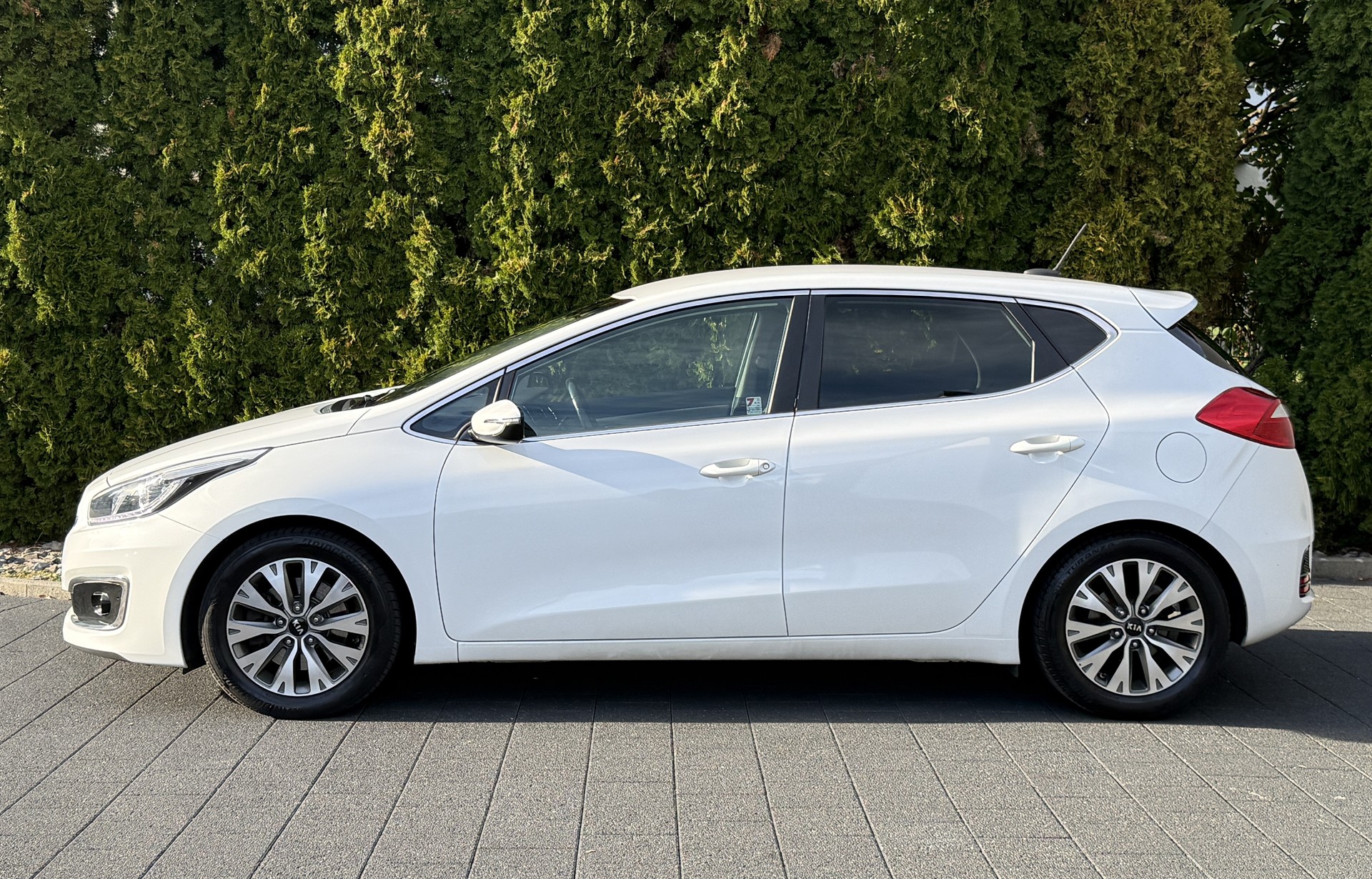 KIA Cee'd 1.0 T-GDi Swiss Champion / ab MFK-image-6
