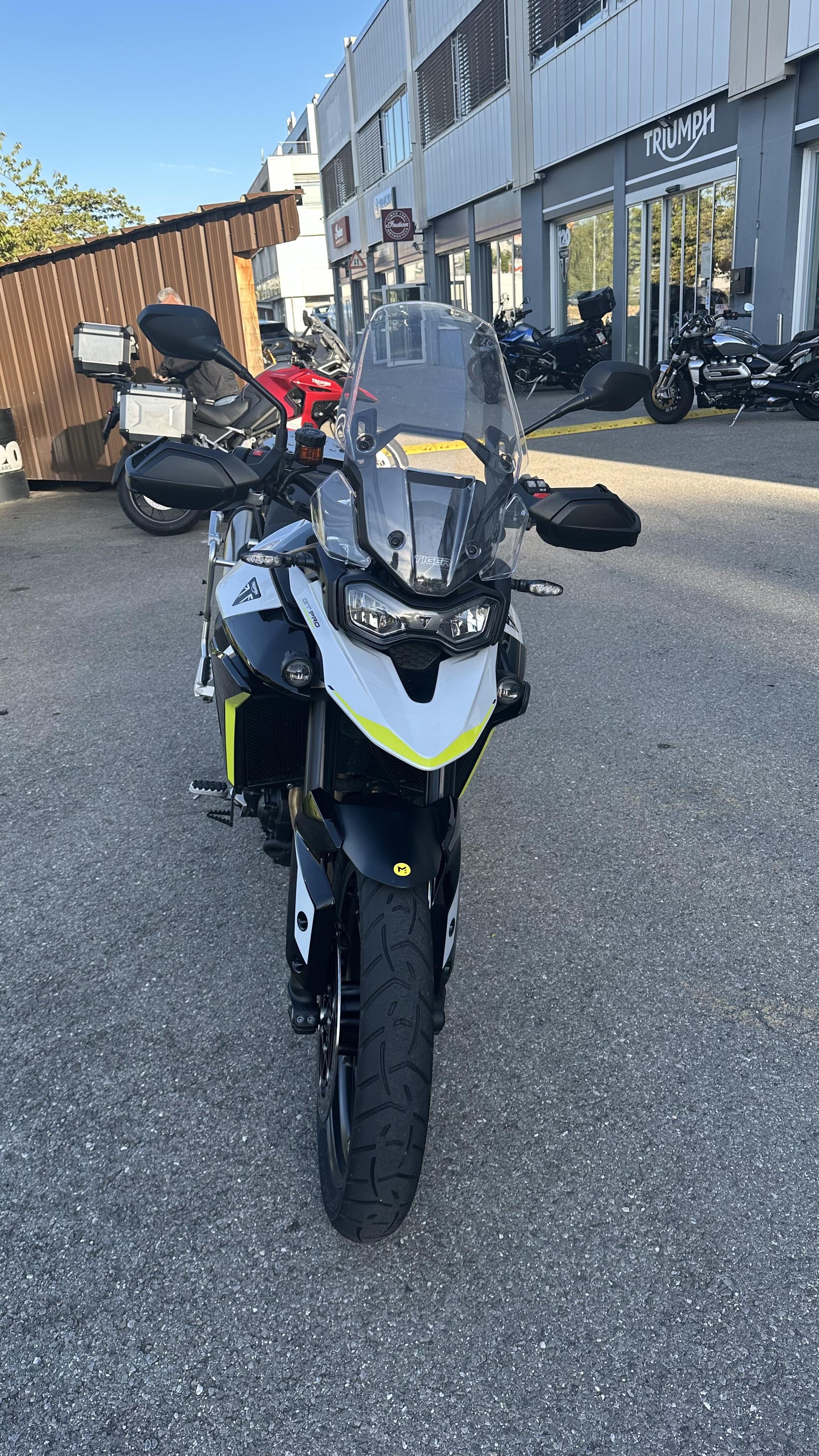 TRIUMPH Tiger 900 GT Pro-showroom-element-2