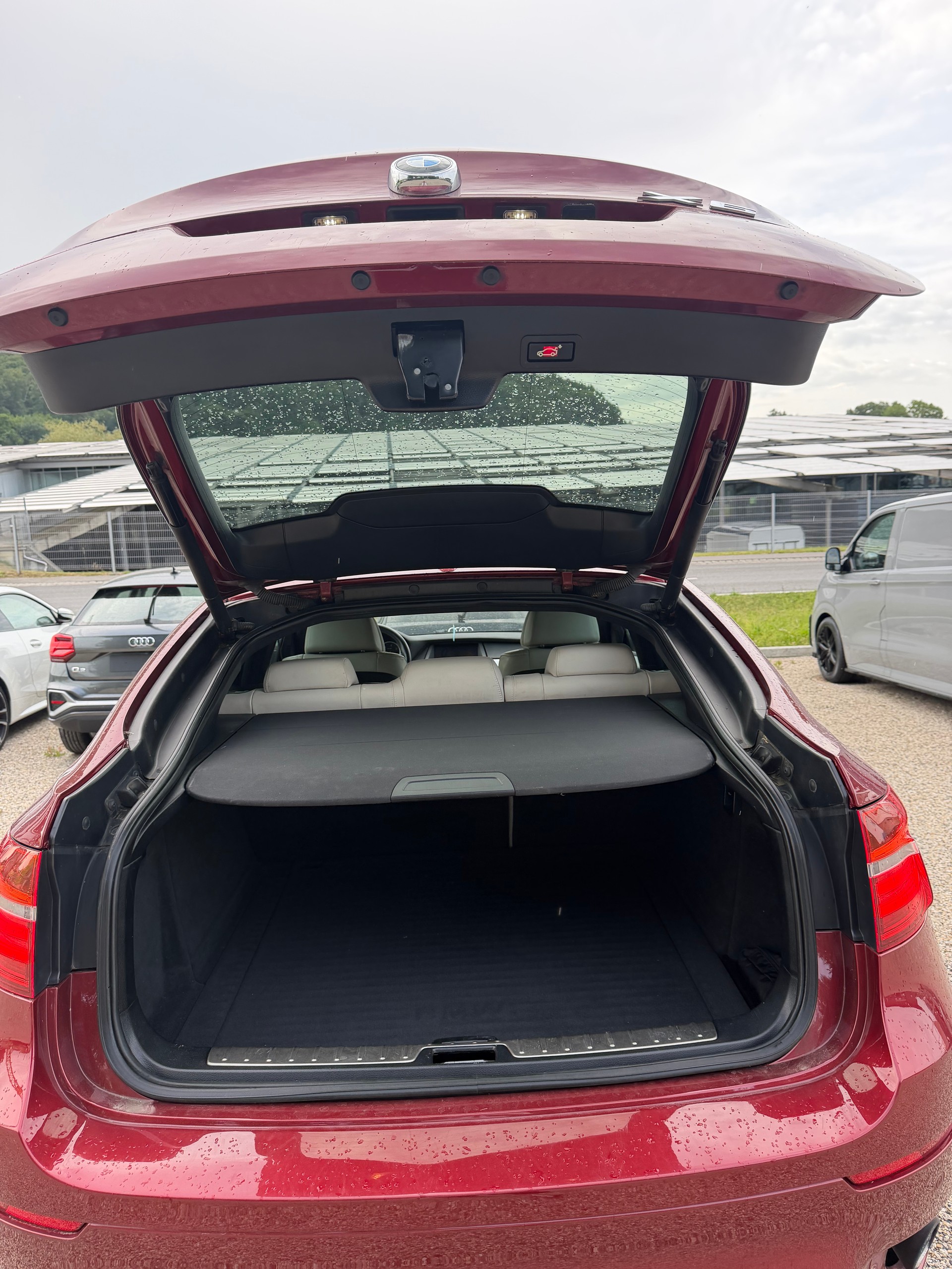 BMW X6 xDrive 30d Steptronic-image-10