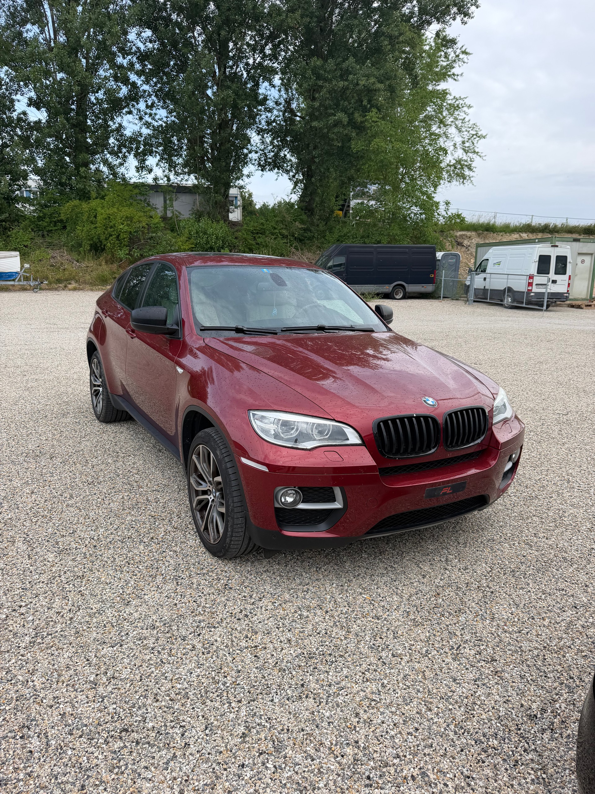 BMW X6 xDrive 30d Steptronic-image-0
